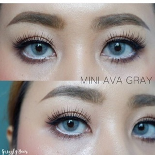 lens xám tây 50k/cặp