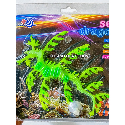 CÁ NGỰA DẠ QUANG TRANG TRÍ BỂ CÁ SEA DRAGON AQUAWORLD