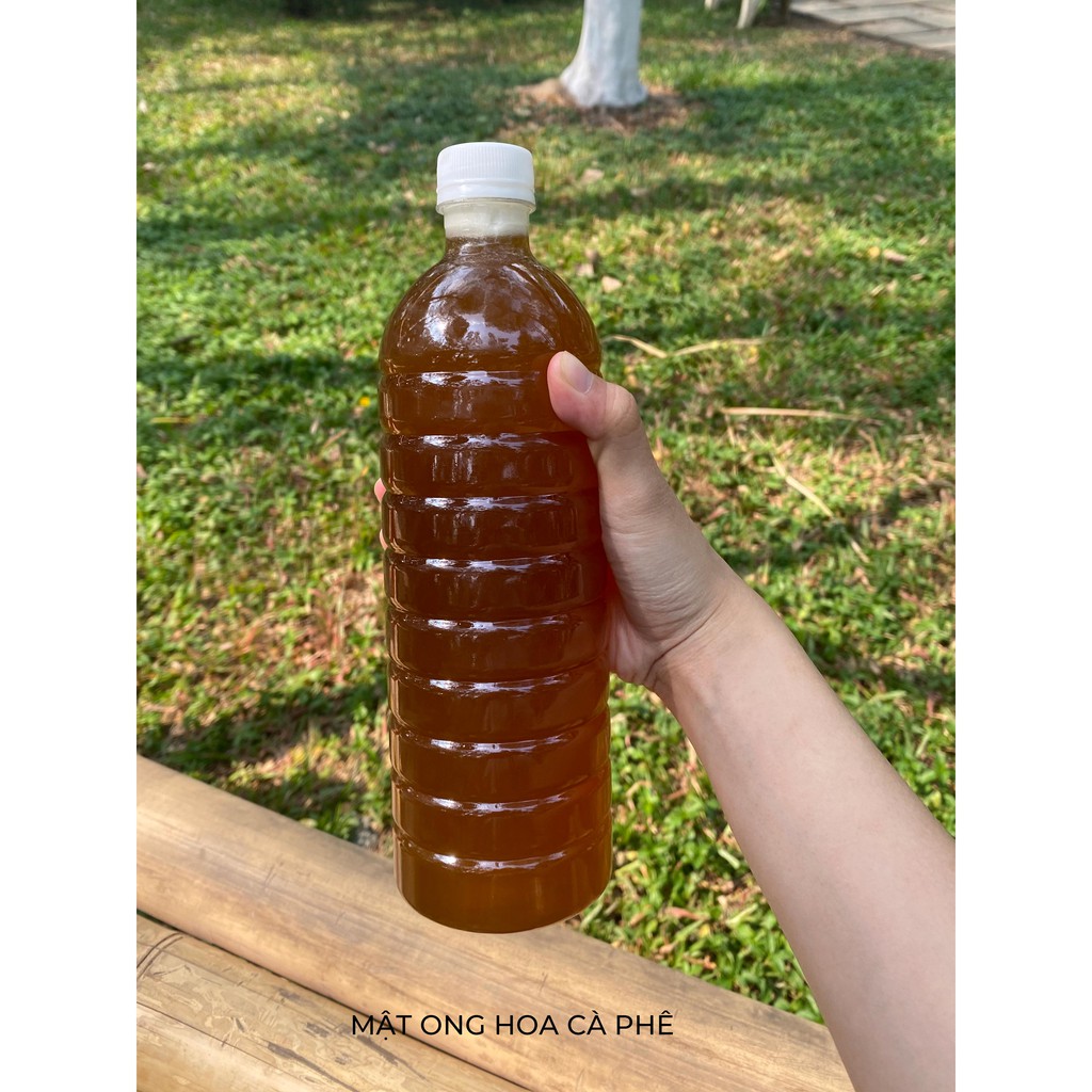 Mật ong hoa Cà Phê (1 lít ) trực tiếp từ trại ong DakLak | BigBuy360 - bigbuy360.vn
