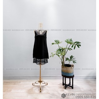 Manocanh Sắt Nữ