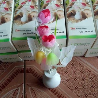 ĐÈN NGỦ LED HÌNH CÂY NẤM ( ĐÈN LOẠI TO )