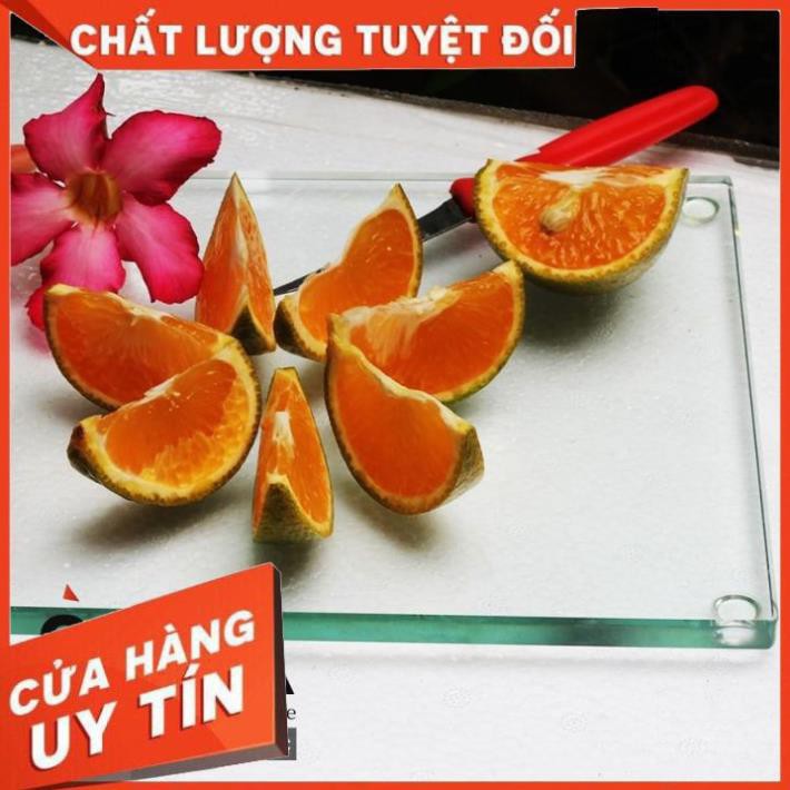 Thớt kính cường lực siêu bền SALA - hàng chuẩn loại 1