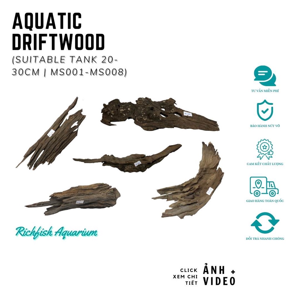 Gỗ lũa dùng setup layout bể cá cảnh thủy sinh nhỏ từ 20-30cm (Ms001-Ms008)