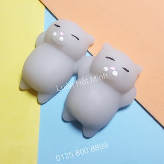 zSquishy Mochi Mèo Xámt
