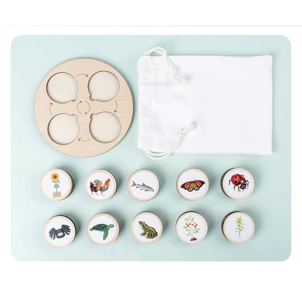 Bộ Thẻ Xếp Hình Vòng Đời Của Động Vật Theo Phương Pháp Montessori