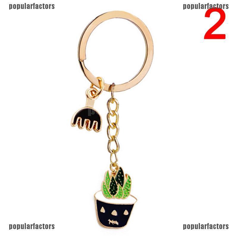 Cây Xương Rồng Tráng Men Sáng Tạo