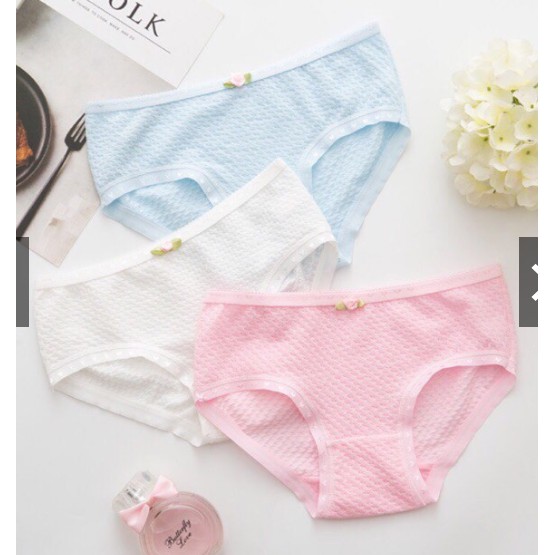 [quần lót cotton]10 quần lót cotton sợi bông nữ, quần lót điều hoà, quần lót ren,quần thông hơn, quần su đúc | BigBuy360 - bigbuy360.vn