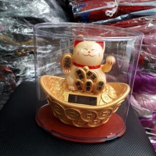 Mèo thần tài