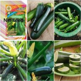 [Big Sale] Hạt Giống Bí Ngòi Xanh (15 hạt)