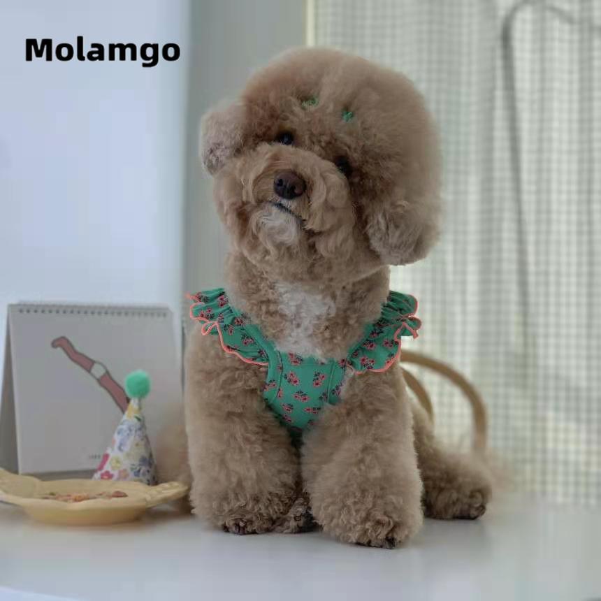 Đầm Họa Tiết Hoa Xinh Xắn Thời Trang Mùa Hè Cho Thú Cưng