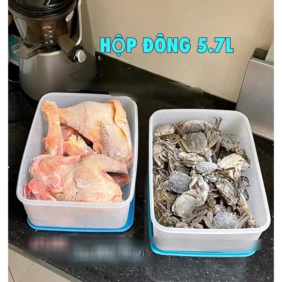 BỘ HỘP TRỮ ĐÔNG FREEZERMATE GEN II 5.7L  - TUPPERWARE NHỰA NGUYÊN SINH
