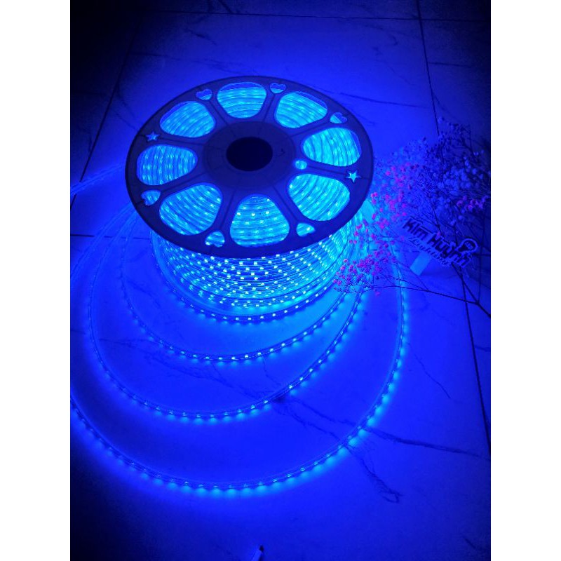 Dây led đổi màu trang trí ngoài trời (bán lẻ mét chưa nguồn, lưu ý đặt thêm nguồn)