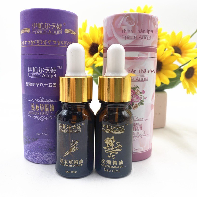 Tân Cương Yili Yipal Angel Lavender Essential Oil Rose Compound Massage Scraping Skin Moisturizing 50ml