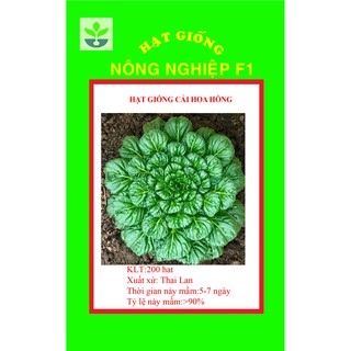 Gói 150 hạt giống cải hoa hồng