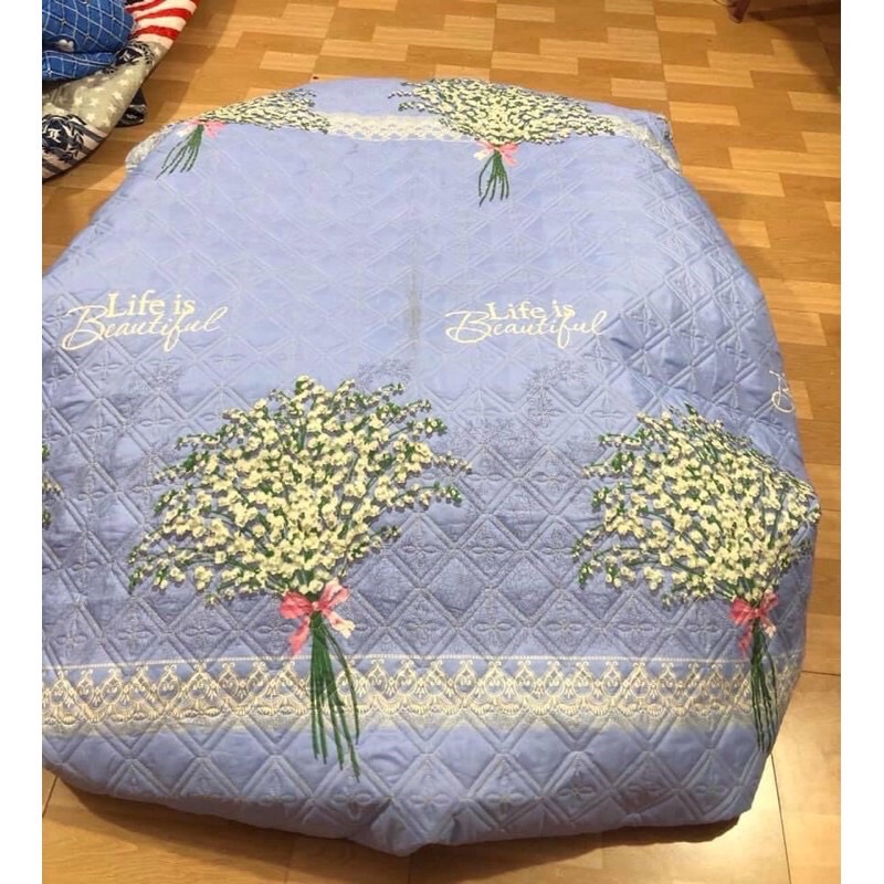 Bộ Ga Chun + 2 vỏ gối Trần Bông Cotton Poly, Ga Chun Trần Bông Nhiều Kích Thước 1m2x1m9.1m5x1m9.1m6x2m.1m8