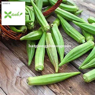 Hạt Giống Đậu Bắp Xanh 10 hạt