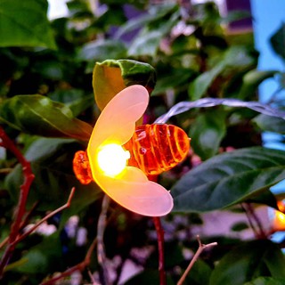 Dây đèn led decor đep, dây led con ong