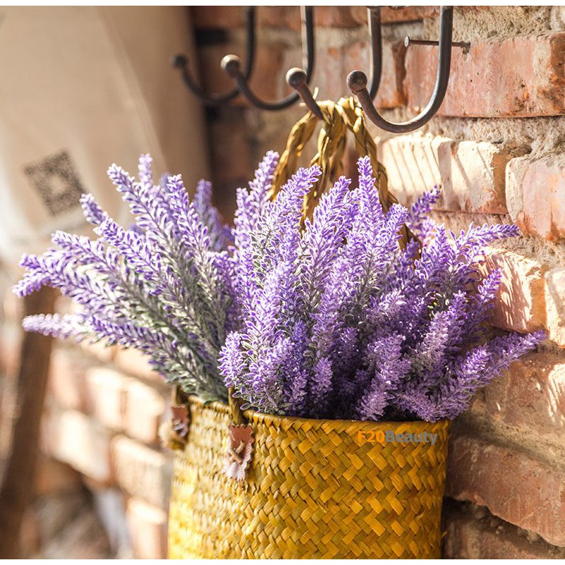 30 Hạt Giống Hoa Oải Hương Lavender