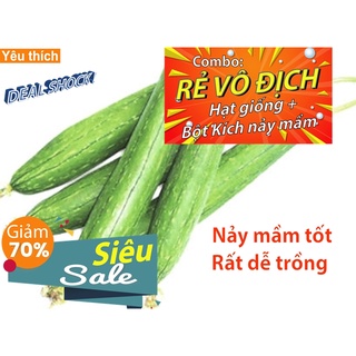 [Combo rẻ vô địch HẠT GIỐNG + GÓI HỖ TRỢ NẢY MẦM] - 5 HẠT GIỐNG MƯỚP HƯƠNG