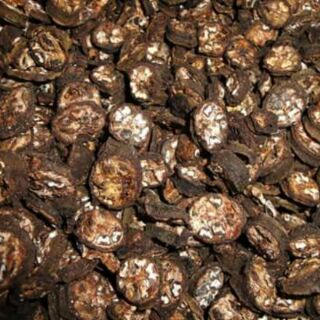 Chuối hột rừng sapa