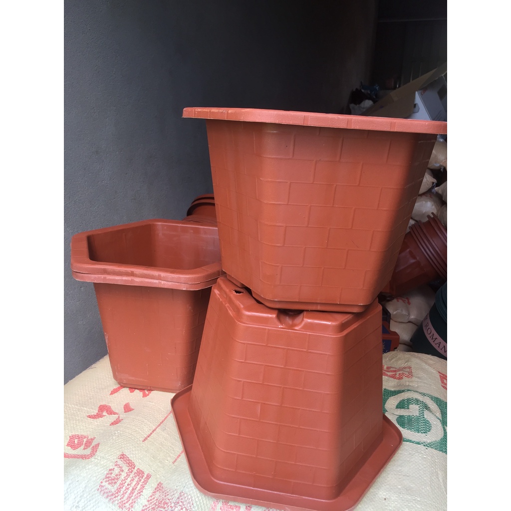 5 CHẬU NHỰA LỤC GIÁC MÃ #380 (DỊCH TRUYỀN CỨU CÂY, KÍCH RỄ MẦM CÂY, BẦU KHAY TÚI ƯƠM..)