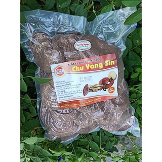 Nấm linh chi đỏ hàng chuẩn hỗ trợ tăng cường sức khỏe