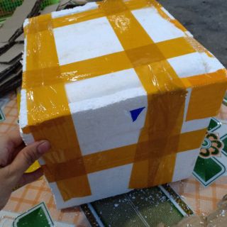Lợn Đất - Bát Tràng Bán Sỉ