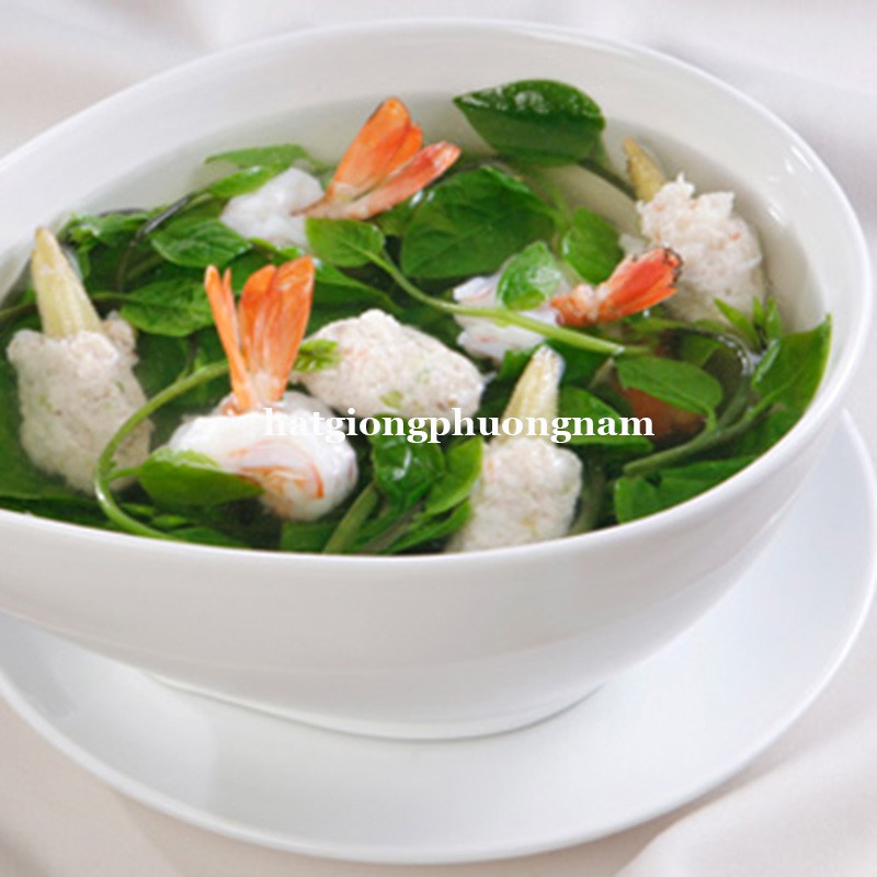 10GR - HẠT GIỐNG RAU MỒNG TƠI