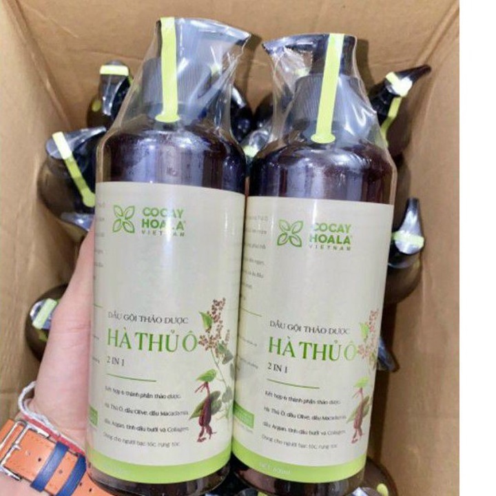 DẦU GỘI THẢO DƯỢC HÀ THỦ Ô 2 IN 1 800ML – TD746