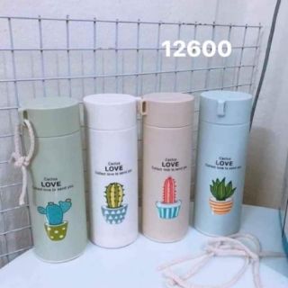 Bình nước xương rồng 450ml