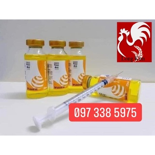 Vitamin nuôi gà SUPER AMINO-C 20ml Bổ gà đá, Chích bồi dưỡng thú cưng, gà đá, chó, mèo. nuôi gà đá