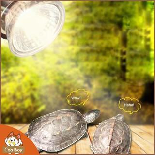 SOLLED Đèn sưởi ấm cho rùa tiện dụng UVB 3.0 Reptile Lamp Bulb Turtle Basking UV Light Bulbs Heating Lamp Amphibians Lizards Temperature Controller