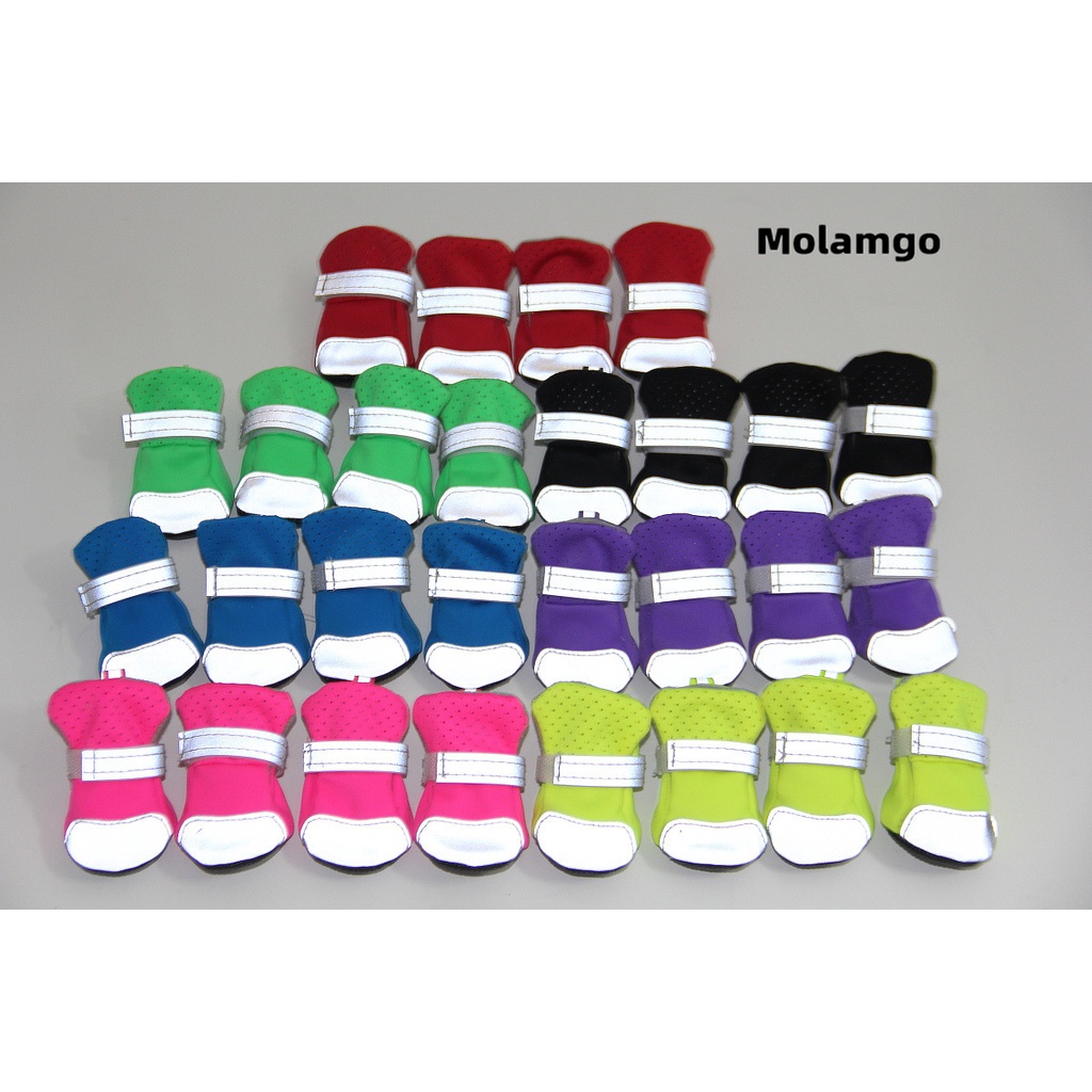 Giày Thể Thao Đế Mềm Thoáng Khí Họa Tiết Gấu Teddy Phản Quang Dễ Thương