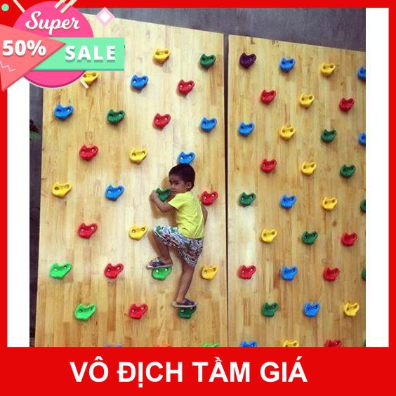 Giáo cụ Montessori- Mấu leo núi, vách leo núi- Phụ kiện xà đu đa năng