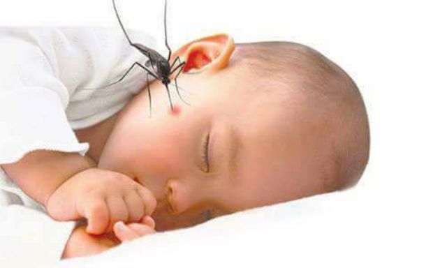 Kem bôi muỗi đốt thái lan mosquito