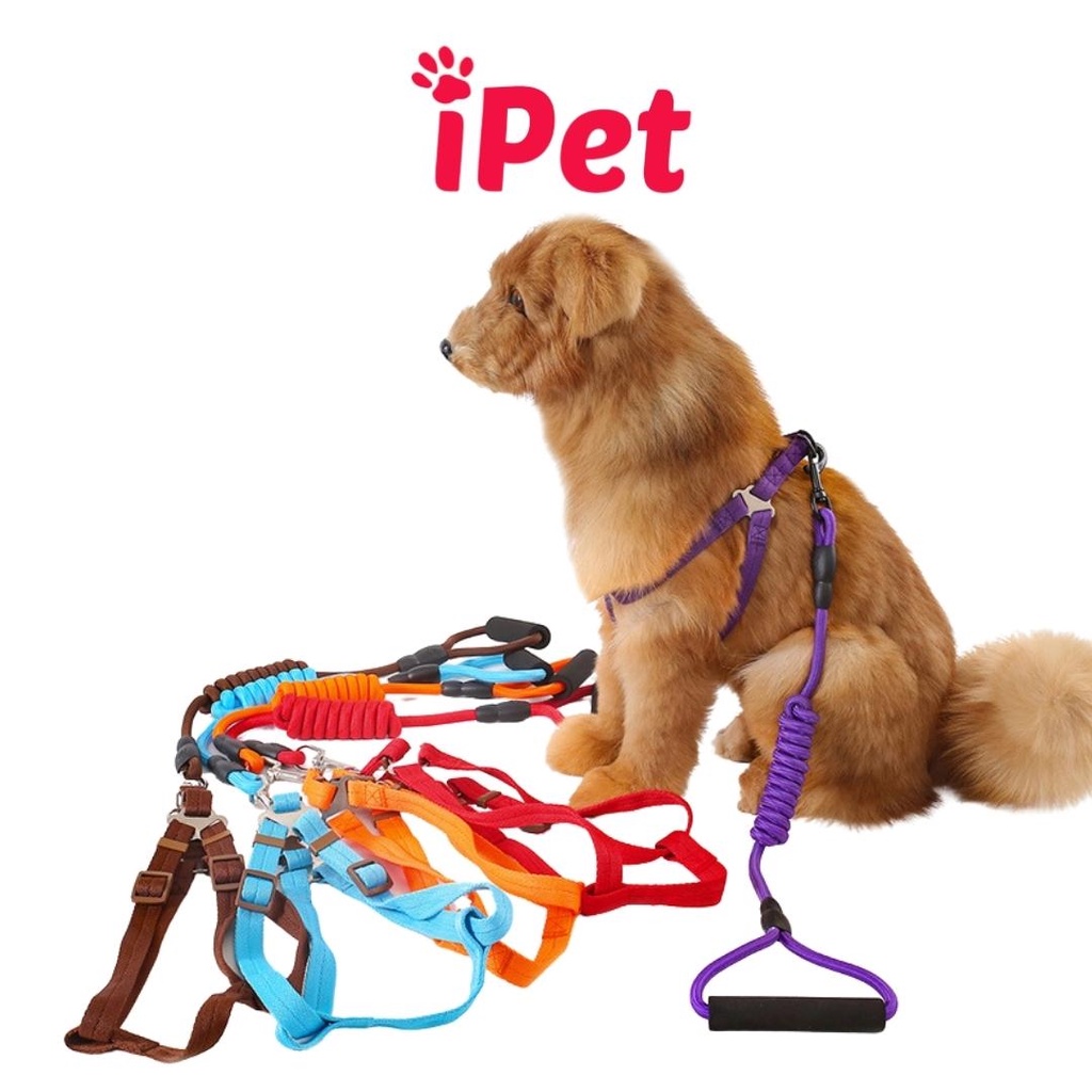 Dây Dắt Kèm Đai Người Cho Chó Mèo Có Mút Cầm Tay - iPet Shop