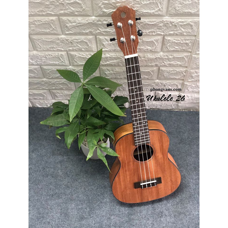 Đàn ukulele gỗ 26 đẹp giá rẻ
