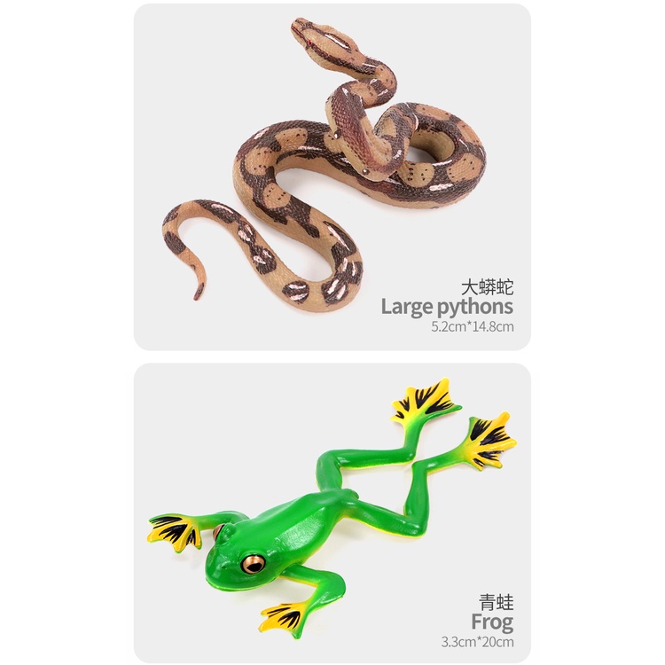 Bộ Đồ Chơi Mô Hình Côn Trùng Hoạt Hình Dành Cho Trẻ Em