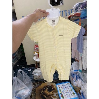 Body cộc kẻ avaler