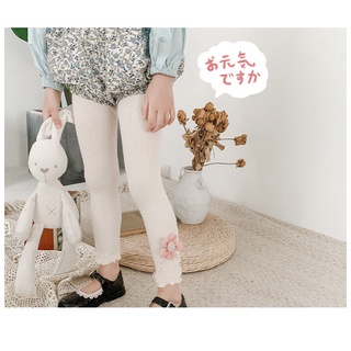 Quần tất Len BG
