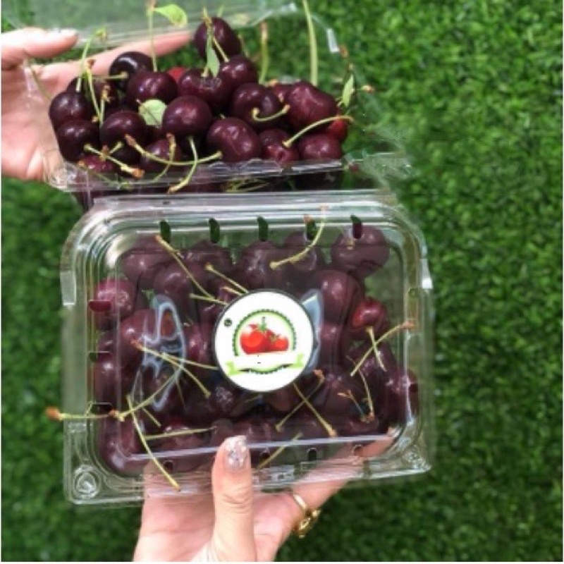 100 Hộp nhựa nửa kg trái cây dâu cherry p500c