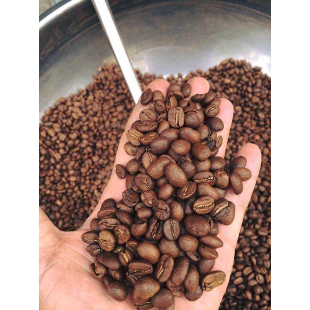 [GÍA SỈ] [Mẫu dùng thử] Cà Phê Hạt Nguyên Chất Rang Mộc Robusta DakLak 100% 100g