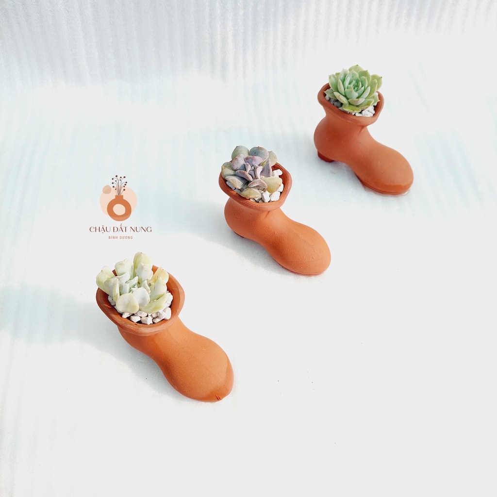 Chậu đất nung, Chậu sen đá - Chiếc hài lọ lem, miệng chậu 4.5cm, chiều cao 7cm