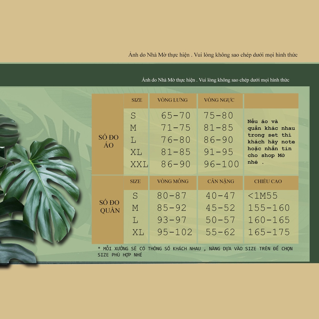 Set bra hồng đất CÁ CONCEPT đồ lót thiết kế có gọng không mút có lót nude đủ size | BigBuy360 - bigbuy360.vn