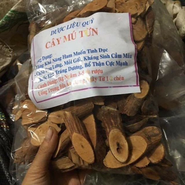 [ĐỔ SỈ] cây mú từn bổ thận tráng dương
