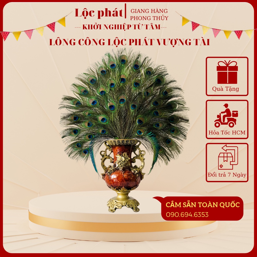 Lông công phong thủy trang trí oản Lộc phát tự nhiên mắt to cắm bình