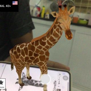Thẻ Học Thông Minh, Thẻ Học Animal 4D& Space 4D