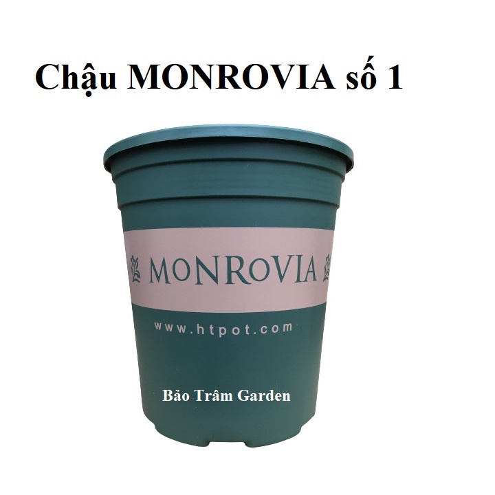 Set 10 chậu nhựa trồng cây cao cấp Monrovia số 1 xuất xứ Trung Quốc