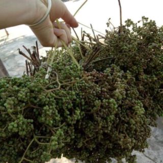 Mắc khén khô 100g