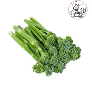 HẠT BÔNG CẢI XANH MINI - GÓI 1 GRAM